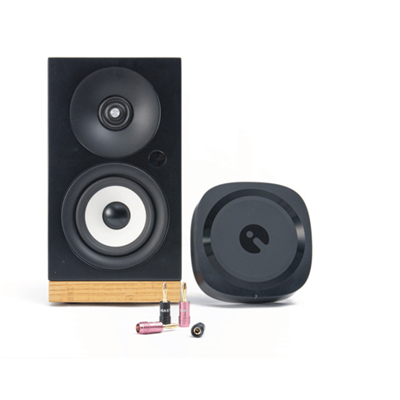 ieast AMP80 Network Özellikli Amplifikatör