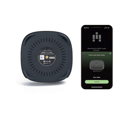 ieast AMP80 Network Özellikli Amplifikatör