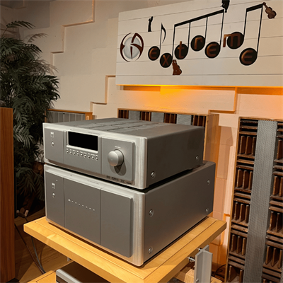 NAD M15 Power M15 Prosessor 