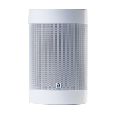 Origin Acoustics OS57 Dış Mekan Hoparlörü
