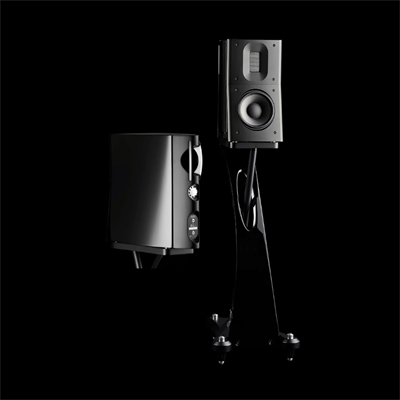 Raidho TD1.2 Raf Tipi Hoparlör