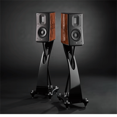 Raidho TD1.2 Raf Tipi Hoparlör