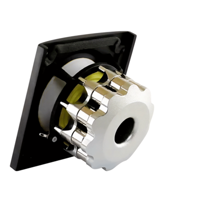 Raidho TD2.2 Kule Hoparlör