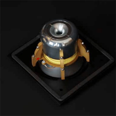 Raidho TD2.2 Kule Hoparlör