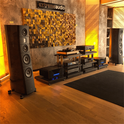 Raidho TD3.8 Kule Hoparlör Özel Cila Walnut Burl