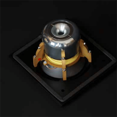 Raidho TD4.2 Kule Hoparlör