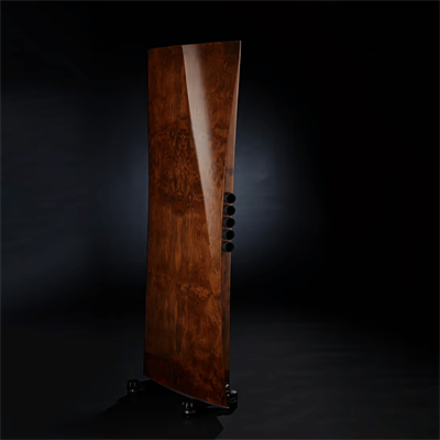 Raidho TD4.2 Kule Hoparlör