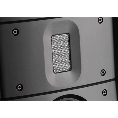 Raidho TD4.2 Kule Hoparlör