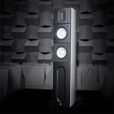 Raidho X2.6 Kule Hoparlör