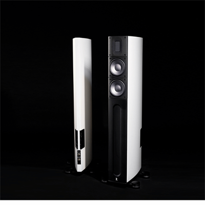 Raidho X2T Kule Kule Hoparlör