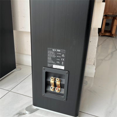 T+A KS 300 Kule Hoparlör