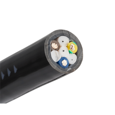 Tchernov SPECIAL 2.5 AC Güç Kablosu