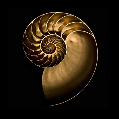 Vivid Audio GIYA G1 Spirit Kule Hoparlör