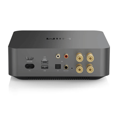 WiiM AMP PRO Entegre Amplifikatör