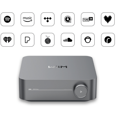 WiiM AMP PRO Entegre Amplifikatör