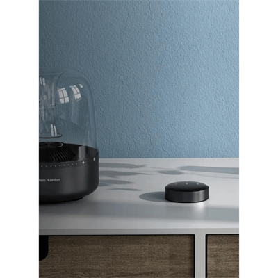 WiiM Mini 