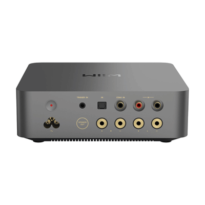 WiiM Vibelink Entegre Amplifikatör