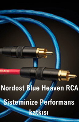 gorsel2