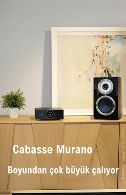 gorsel3