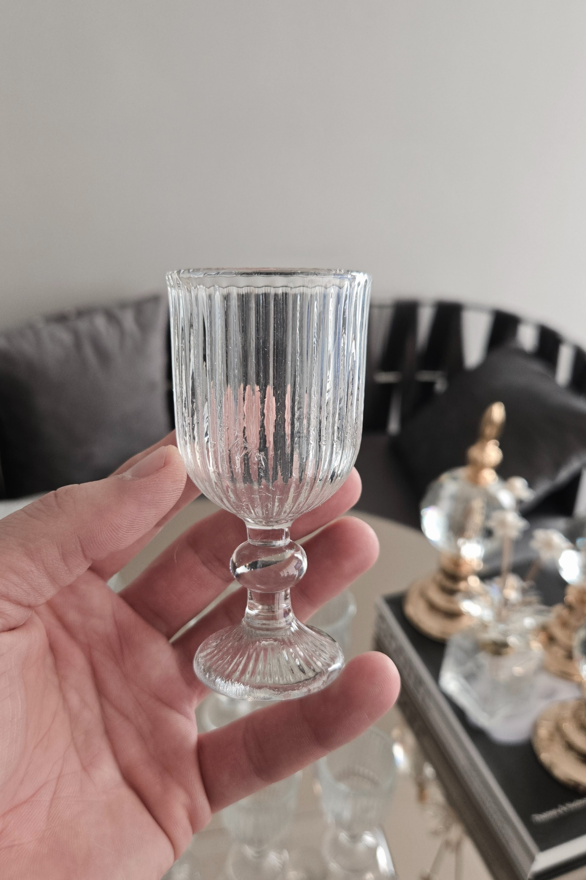 6 lı Kahve Yanı Su Bardağı Platin