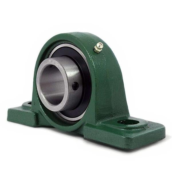 UCP 204 Yataklı Rulman