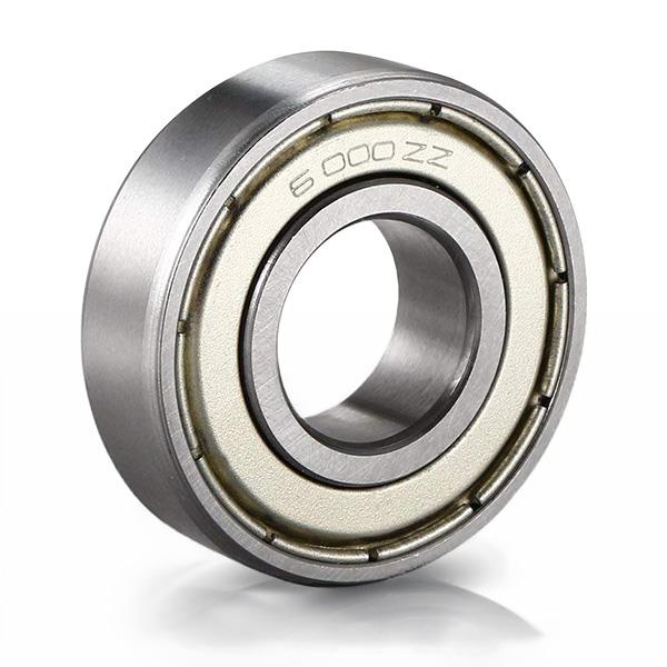  6000 ZZ Rulman