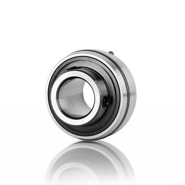 UC 201 Yataklı Rulman