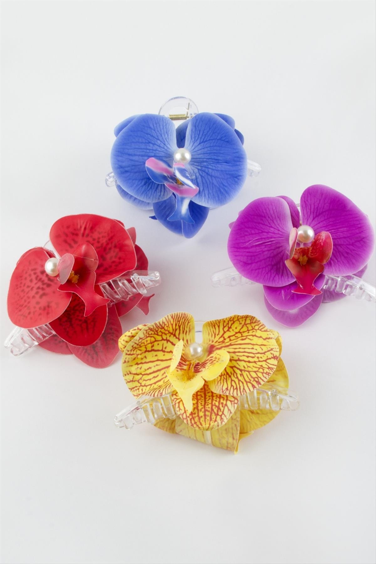 Orkide Mandal Toka 10 cm