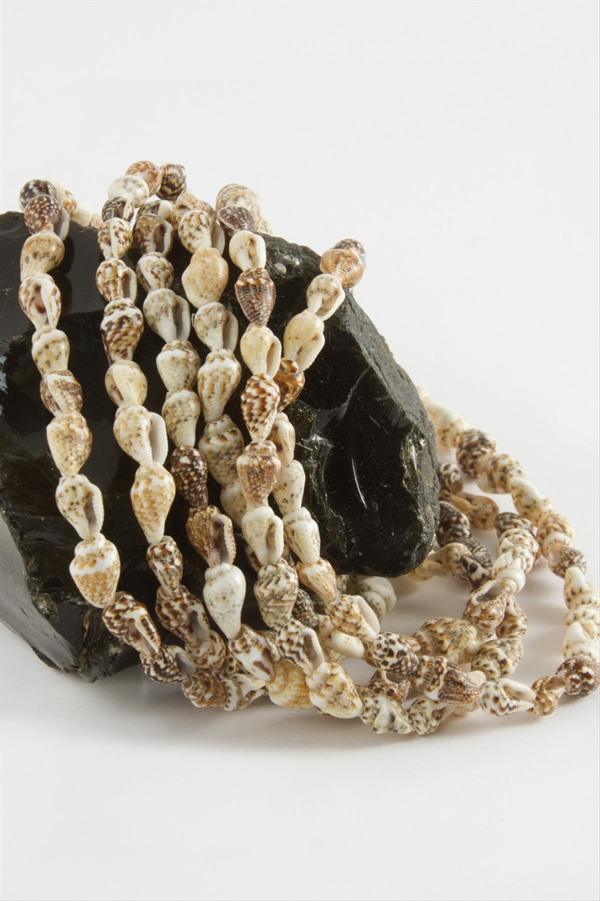 İstiridye Deniz Kabuğu 1 Dizi