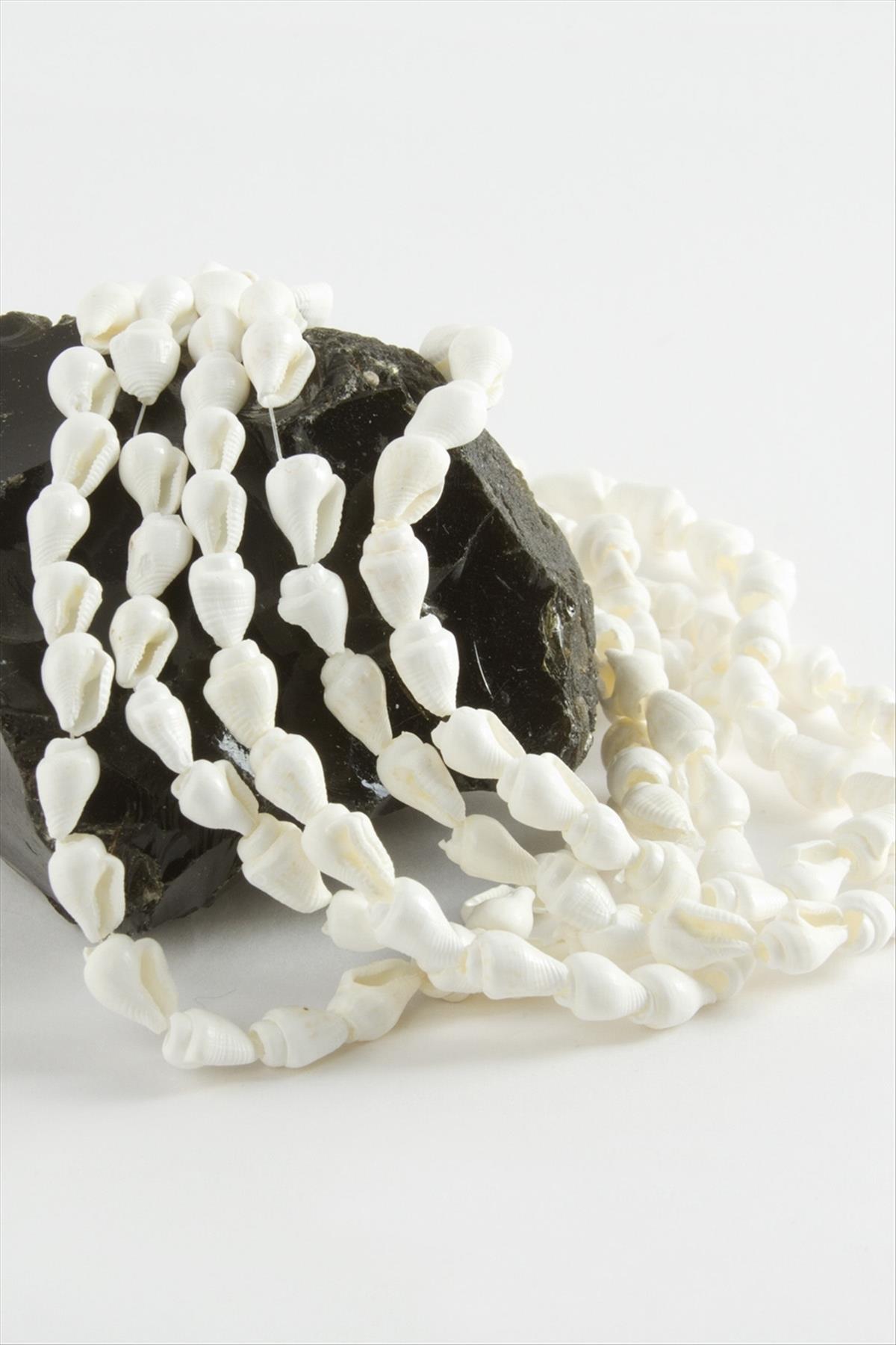 İstiridye Deniz Kabuğu 1 Dizi