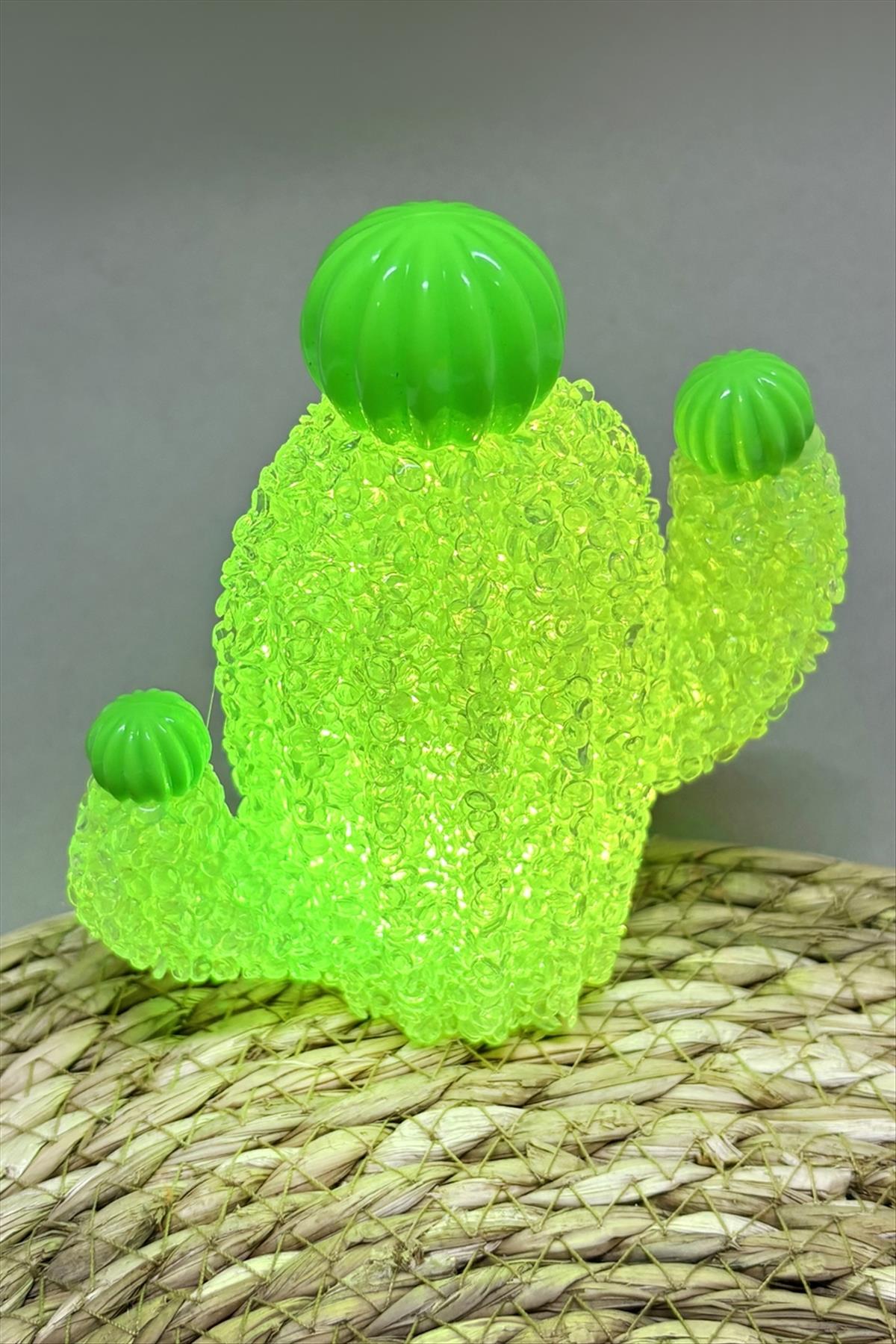Kaktüs Işıklı Biblo 13 cm