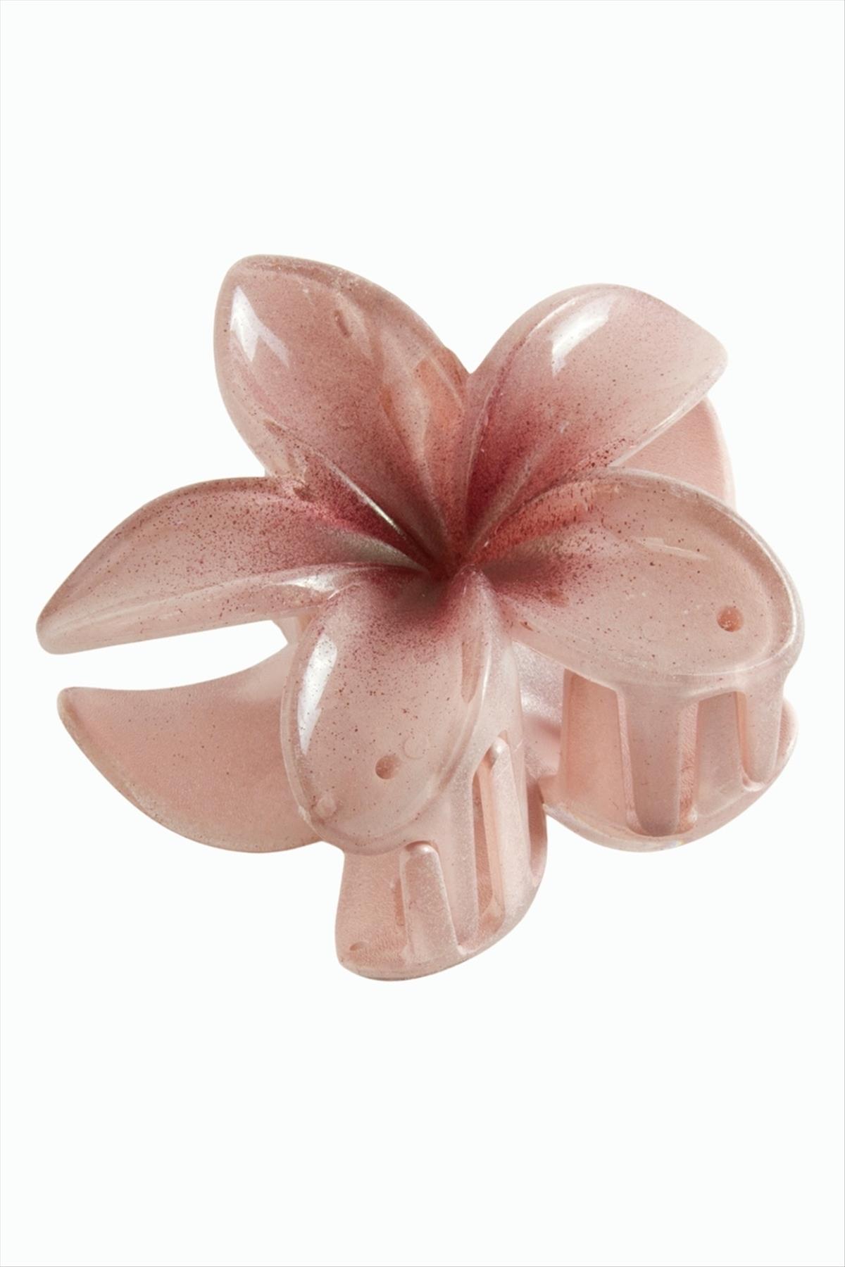 Lotus Toka 8 cm