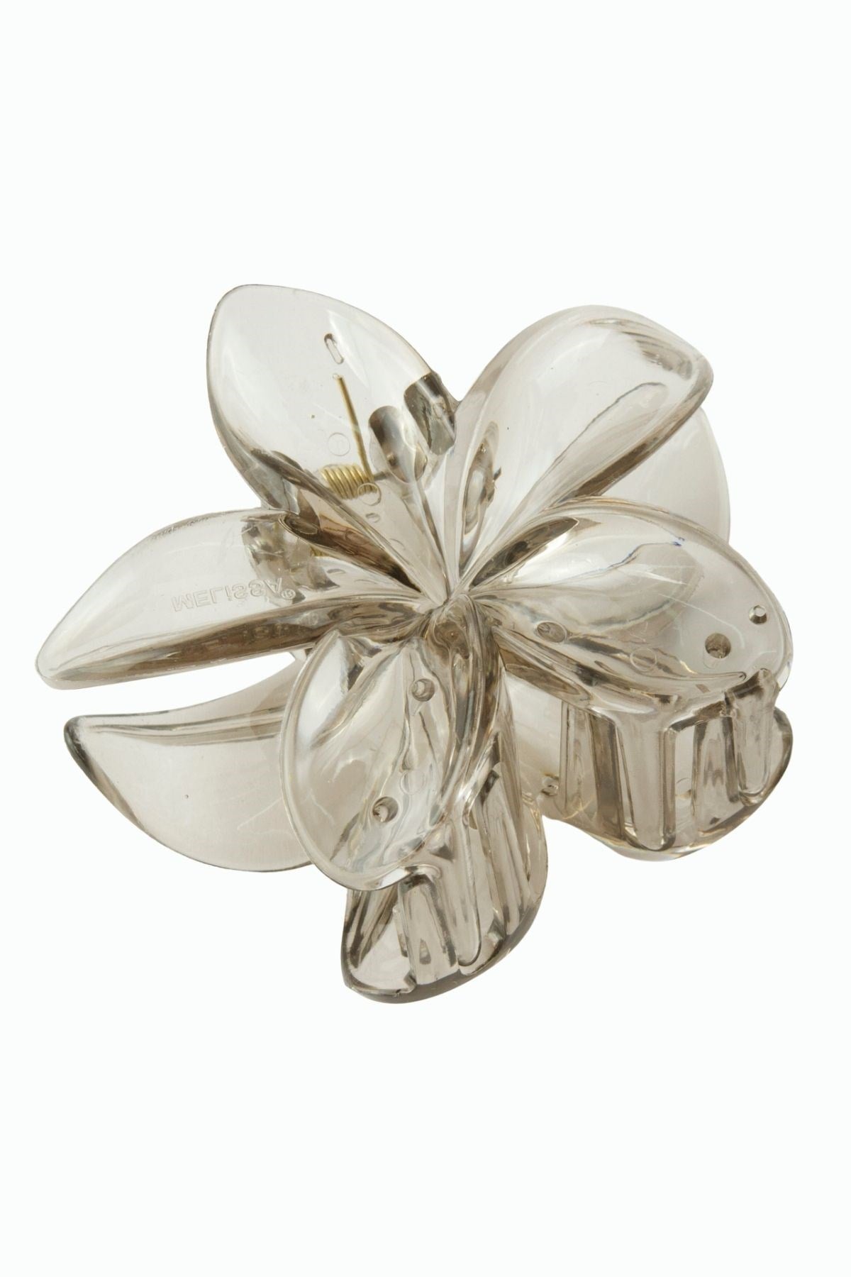 Lotus Toka 8 cm