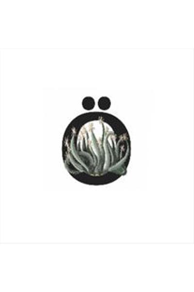 Harf Figürlü Kaktüs Sukulent Saksısı