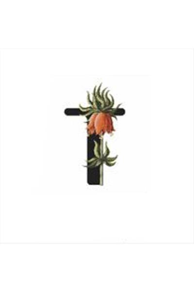 Harf Figürlü Kaktüs Sukulent Saksısı