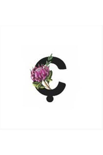 Harf Figürlü Kaktüs Sukulent Saksısı