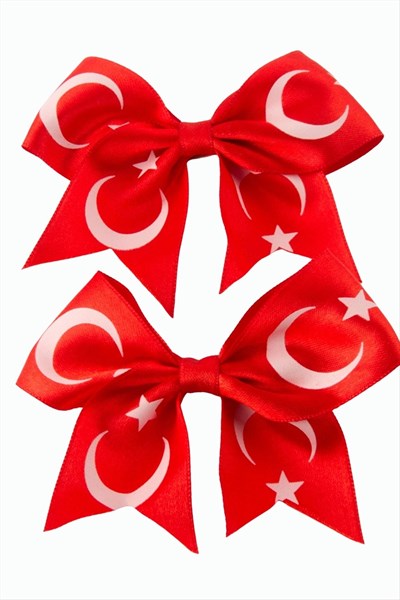 Ay Yıldız Fiyong Pens Toka 2 Adet