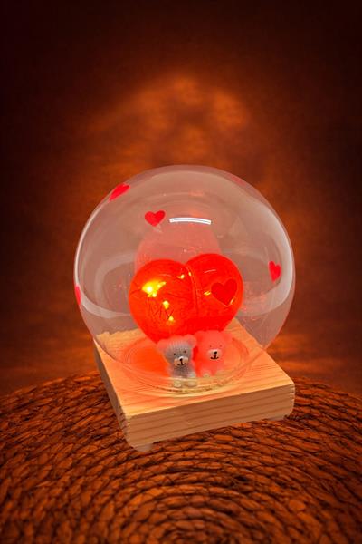 Ayıcık Çift Işıklı Teraryum