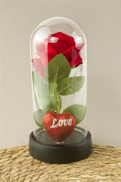 Gül Işıklı Led Fanus