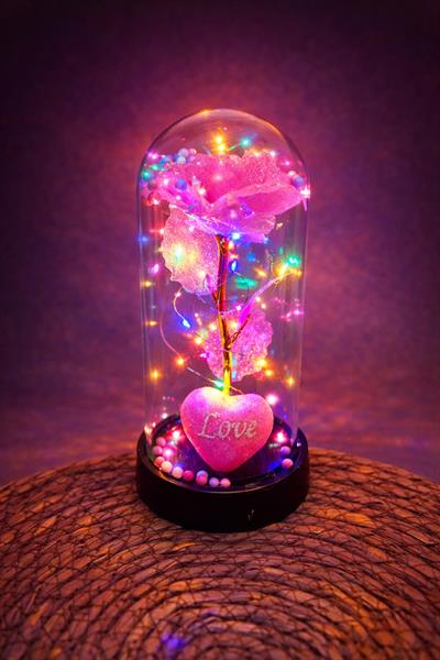 Gül Işıklı Led Fanus