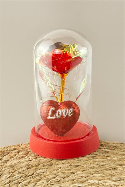 Gül Işıklı Led Fanus