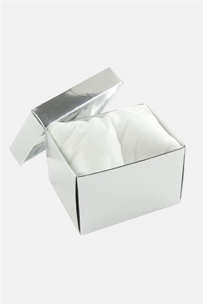 Gümüş Renkli Kapaklı Saat Kutusu