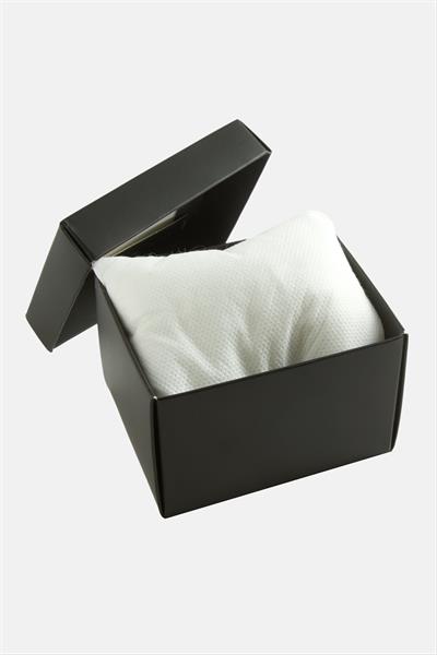 Siyah Renkli Kapaklı Saat Kutusu