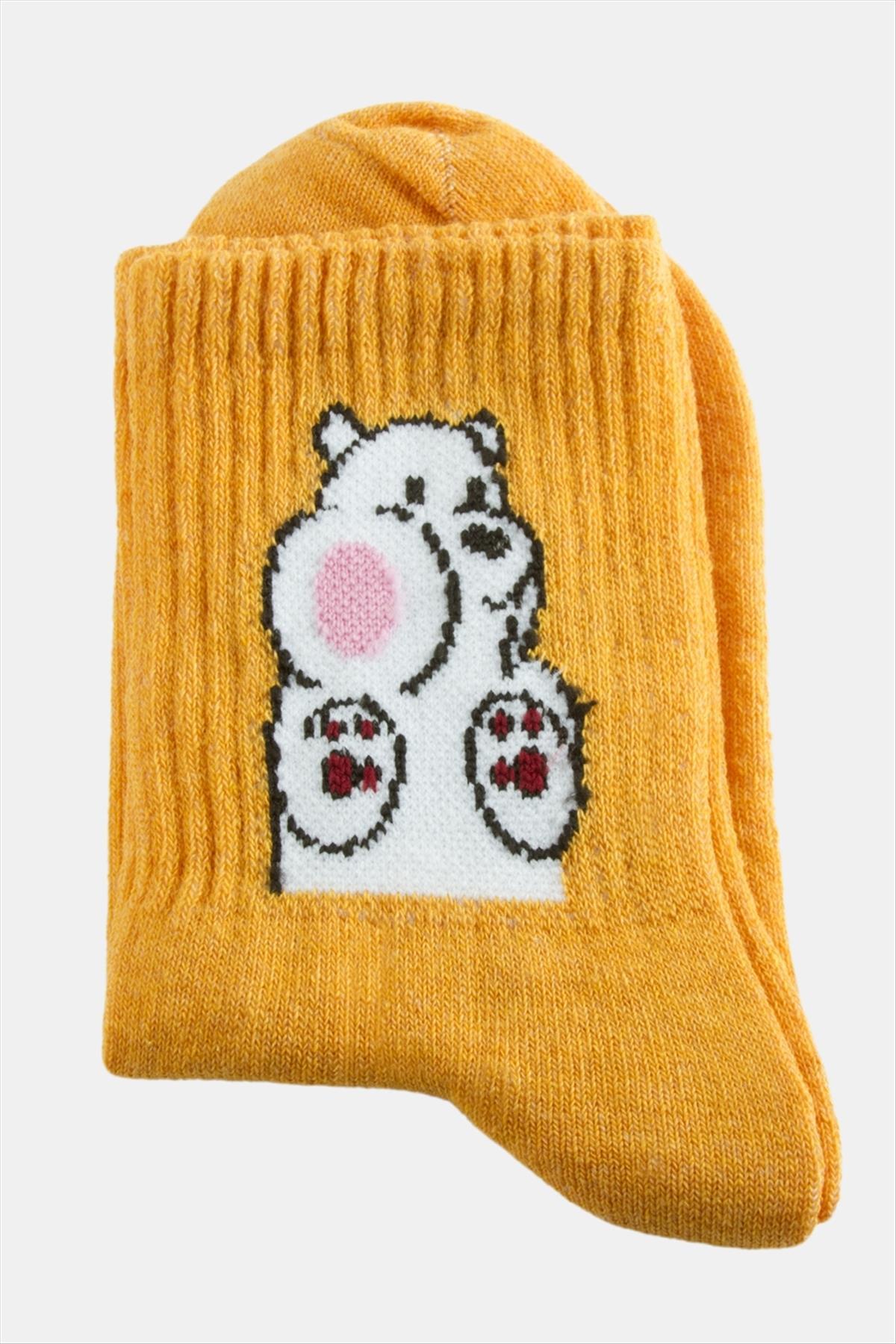 Ayıcık Kolej Çorap 8*28