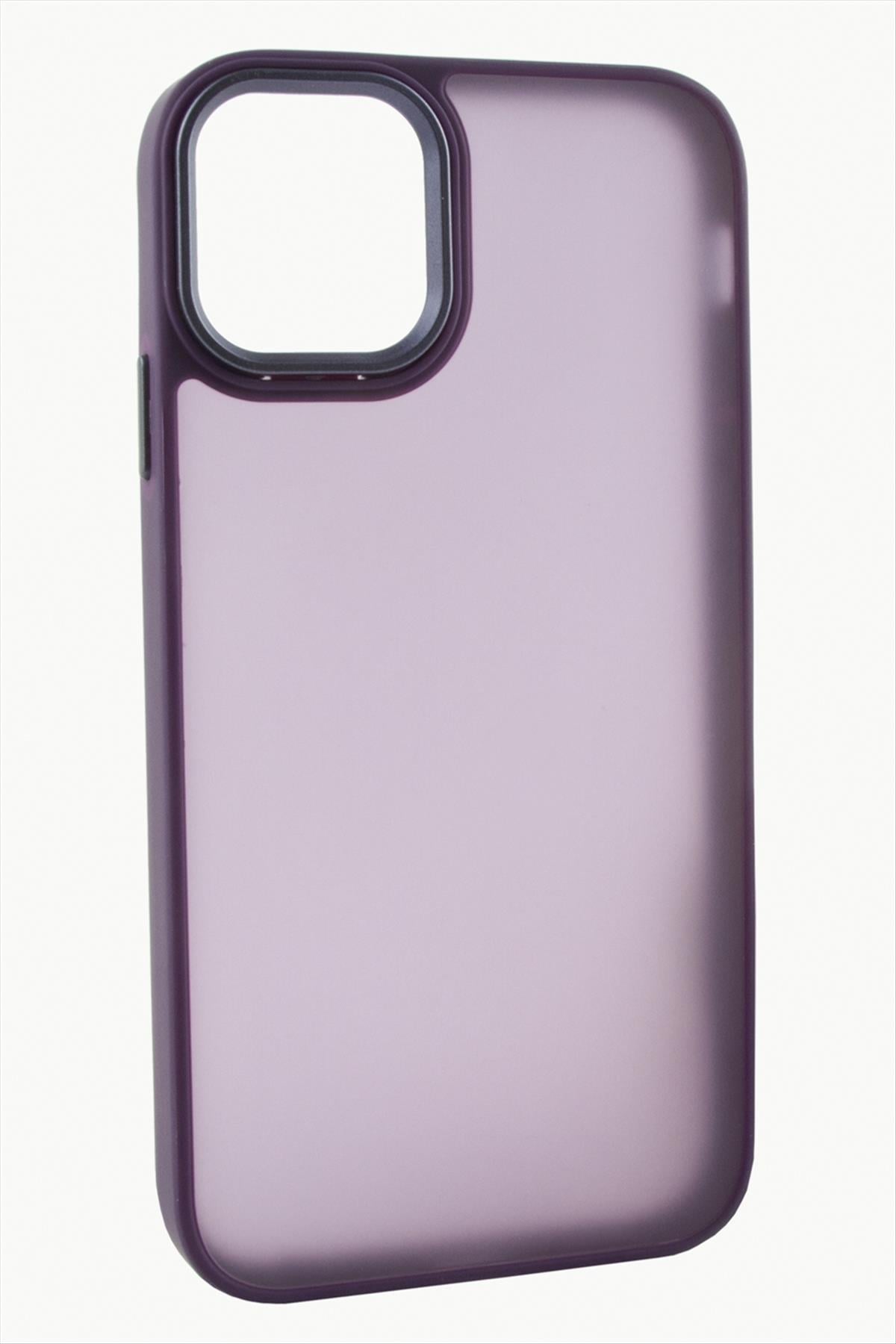 iPhone 11 Renkli Lüx Newxu Silikon Kılıf