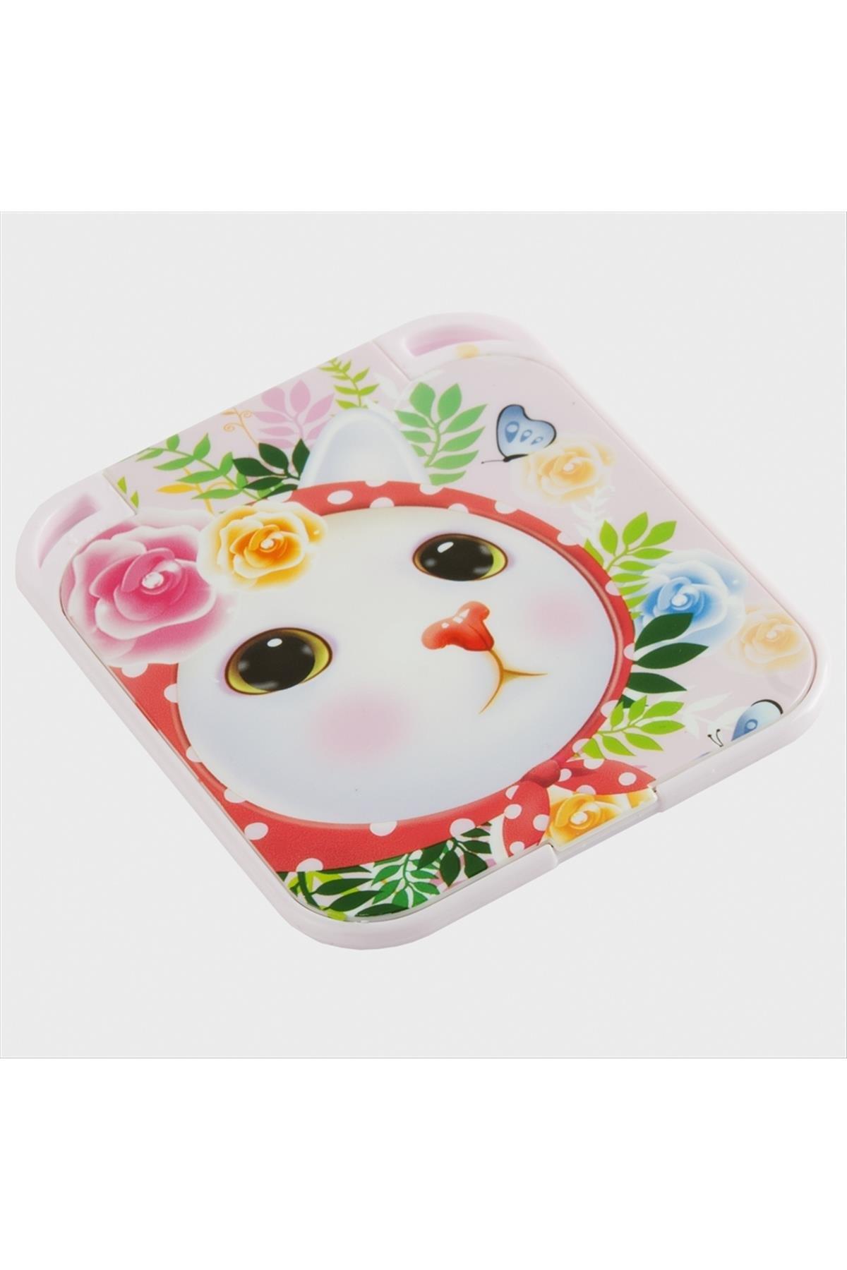 Kedi Desenli El Aynası