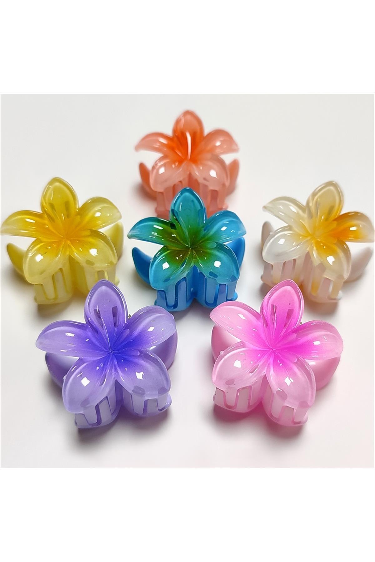 Lotus Toka 3 cm Minik Boy 1 Adet