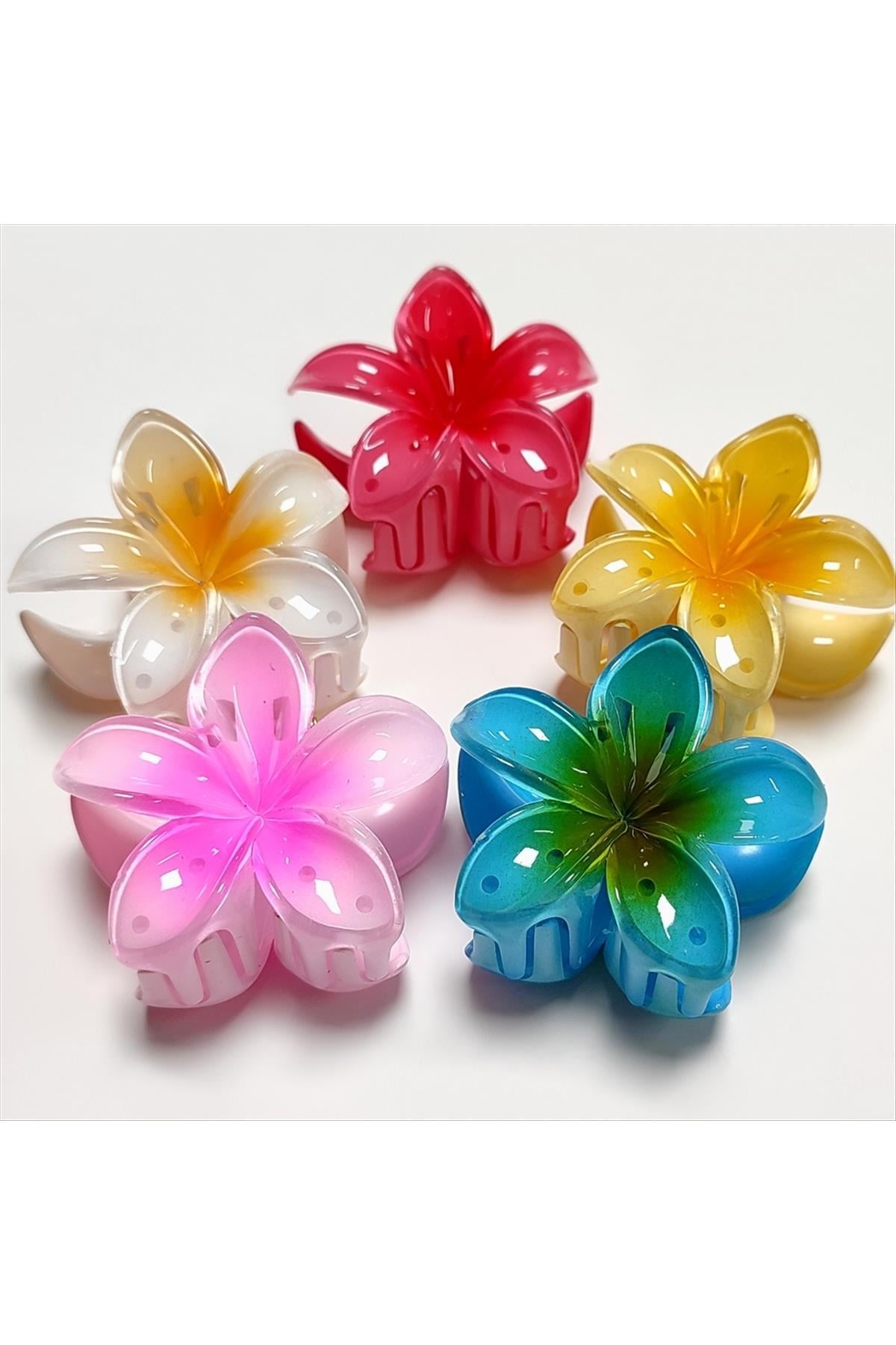Lotus Toka 6 cm Orta Boy
