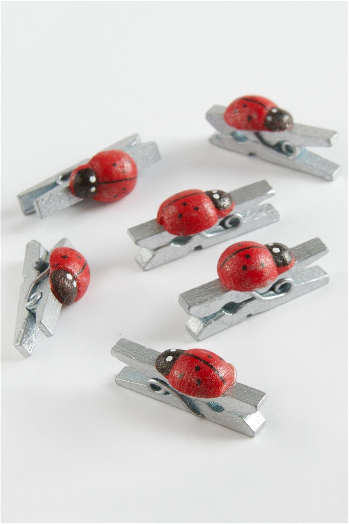 1 Adet Uğur Böceği Süs Mandal