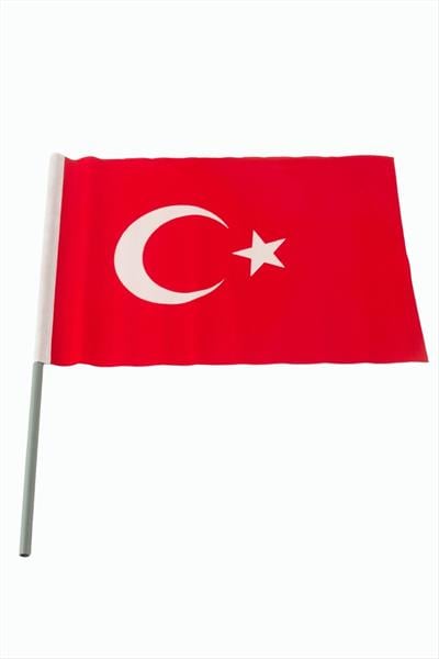 Ay Yıldız Türk Bayrağı 20*30 cm